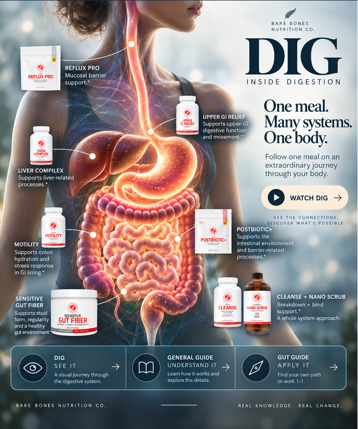 DIG: Inside Digestion. One meal, many systems, one body. Digestive anatomy and Silver Fern Brand product connections.